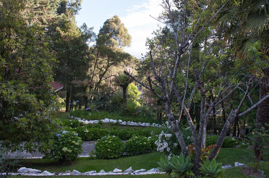 Hotel Vila Regina Campos do Jordao Dış mekan fotoğraf